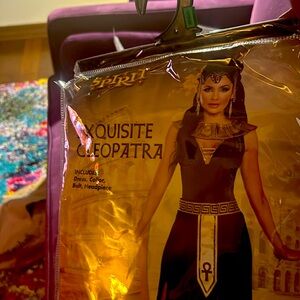 Exquisite Cleopatra costume comes with dress collar belt and headpiece